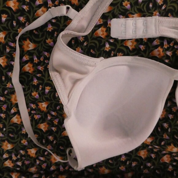 VASSARETTE | B36/80 | Elegant Whitish Grey Bra | Adjustable Straps - Picture 8 of 11